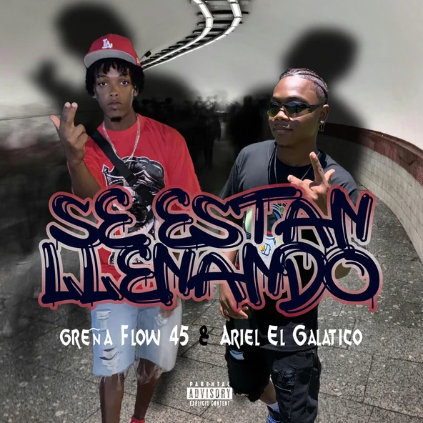 Se Estan Llenando artwork