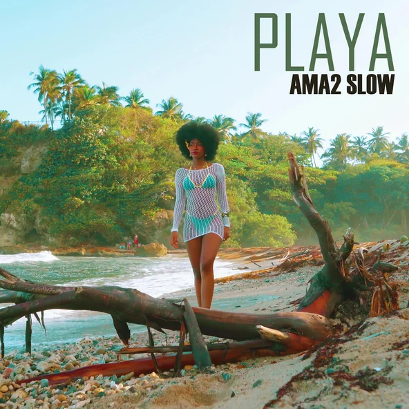 Playa - Single artwork